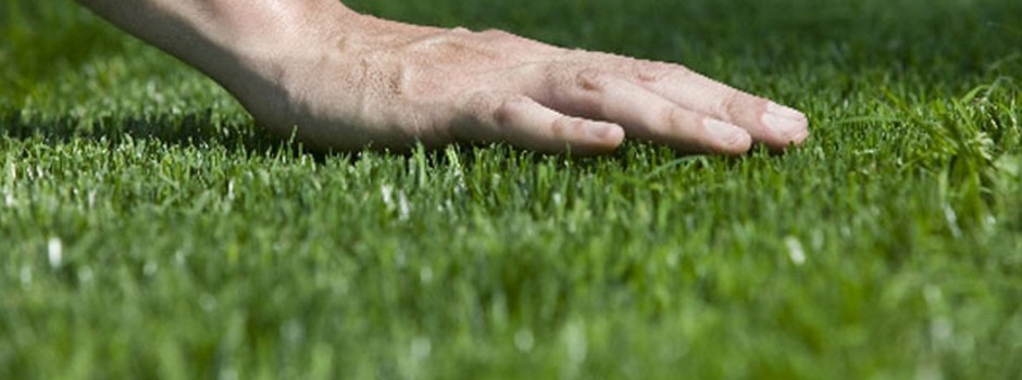 Manutenzione del verde