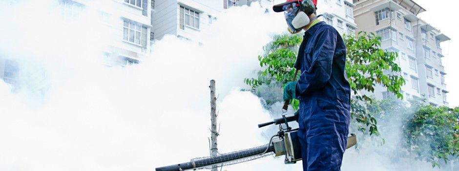 Disinfezione, derattizzazioni, disinfestazioni e sanificazioni, pest control